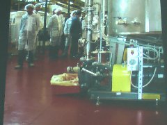 糖浆输送VARISCO齿轮泵